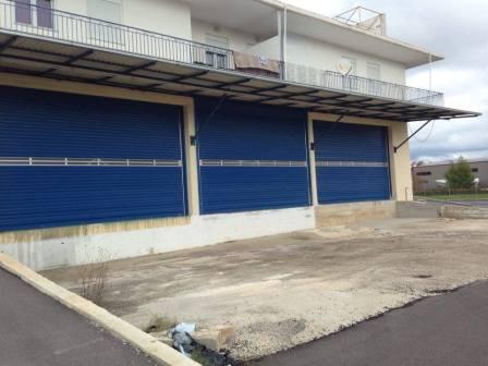 %cf%86%cf%89%cf%84%ce%bf-%ce%b3%ce%b9%ce%b1-%cf%80%ce%b5%ce%b1